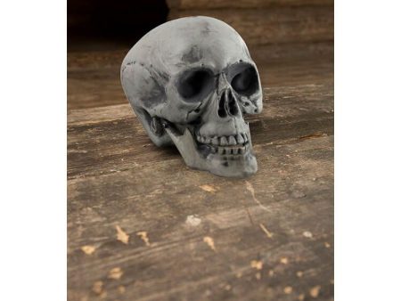 Skull 21 cm Hot on Sale