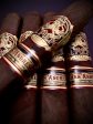 Artesano Del Tobacco El Pulpo by A.J. Fernandez For Cheap