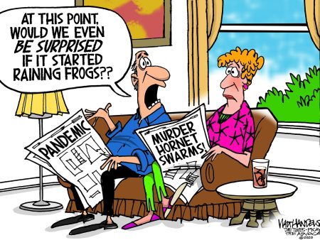 Limited Edition (50) Cartoon from Walt Handelsman - Raining Frogs Sale