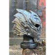 Warrior Helmet Sale