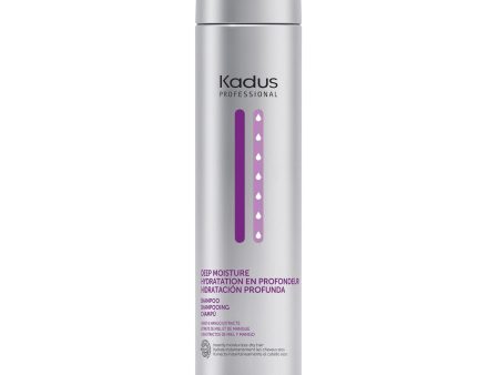 Drėkinantis Plaukų Šampūnas Kadus Professional Deep Moisture Shampoo +dovana Wella priemonė For Sale